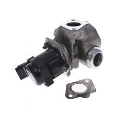 PAT Exhaust Gas Recirculation Valve
