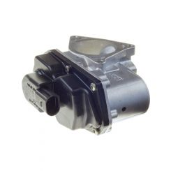 PAT Exhaust Gas Recirculation Valve