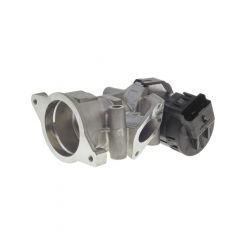 PAT Exhaust Gas Recirculation Valve