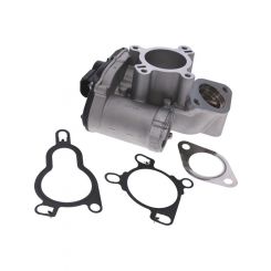 PAT Exhaust Gas Recirculation Valve