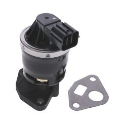 PAT Exhaust Gas Recirculation Valve