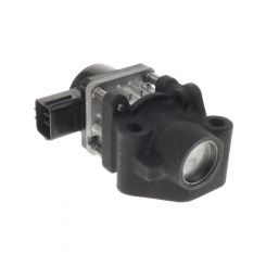 PAT Exhaust Gas Recirculation Valve