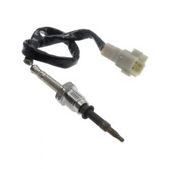 PAT Exhaust Gas Temperature Sensor