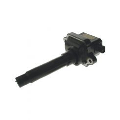 PAT Ignition Coil