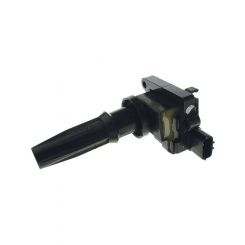 PAT Ignition Coil
