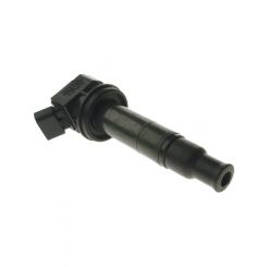 PAT Ignition Coil