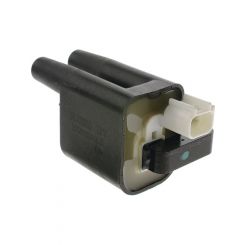 PAT Ignition Coil