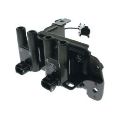PAT Ignition Coil