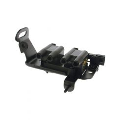 PAT Ignition Coil