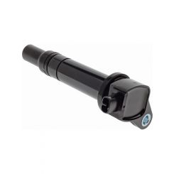 PAT Ignition Coil
