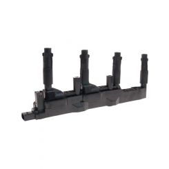 PAT Ignition Coil