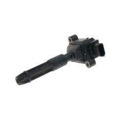 PAT Ignition Coil