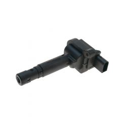 PAT Ignition Coil