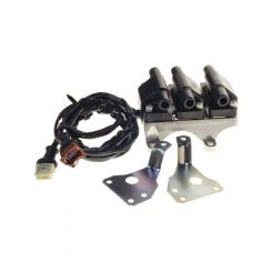 PAT Ignition Coil