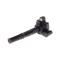 PAT Ignition Coil