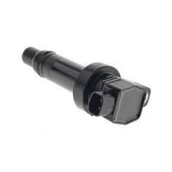 PAT Ignition Coil