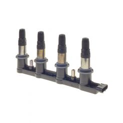 PAT Ignition Coil