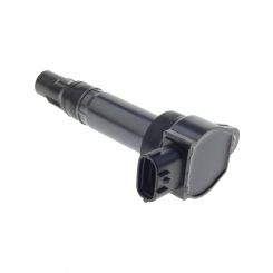 PAT Ignition Coil