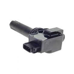 PAT Ignition Coil