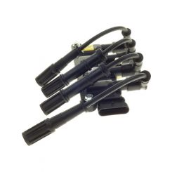PAT Ignition Coil