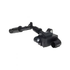 PAT Ignition Coil