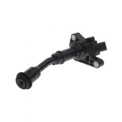 PAT Ignition Coil