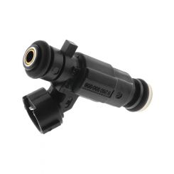 PAT Fuel Injector