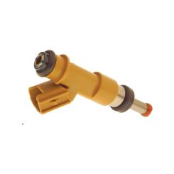 PAT Fuel Injector