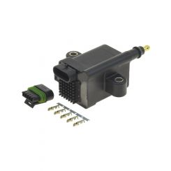 Raceworks Ignition Coil & Plug