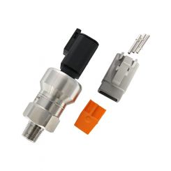 Raceworks 10Bar 1/8In NPT Motorsport MAP Sensor