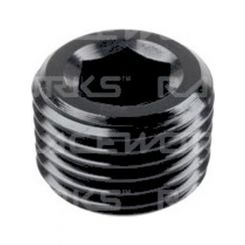 Raceworks Npt Plug 1/8In Bulk Pack 20