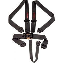 Raceworks Black 5Point Sfi Latch & Link Harness 3In Belts