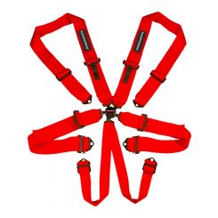 Raceworks Red 6Point Sfi Cam Lock Harness 3In Belts Bolt In Ends