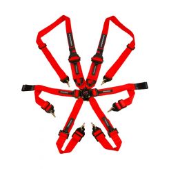 Raceworks Red 6Point Fia Cam Lock Harness Hans 2-3In Belts Snap