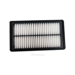Ryco Air Filter