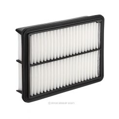 Ryco Air Filter