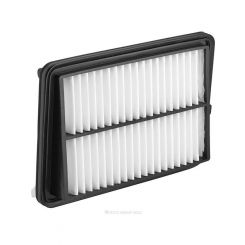 Ryco Air Filter