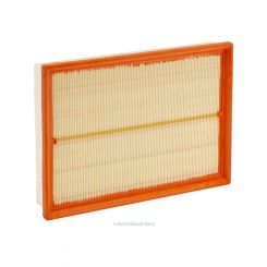 Ryco Air Filter