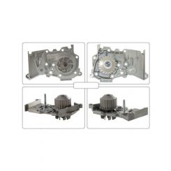 Alcius Water Pump