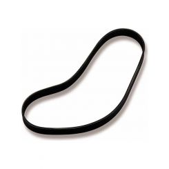 Weiand Serpentine Supercharge Drive Belt Suit Weiand 177 10 Rib 50.4in