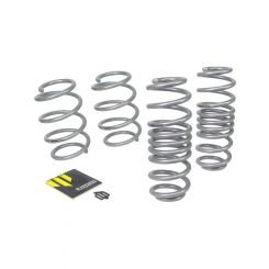 Whiteline Coil Spring Lowering Kit