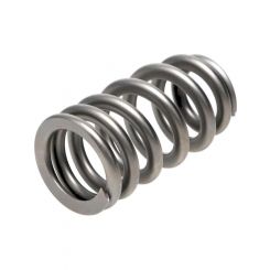 Pac Racing Springs RPM Beehive Valve Springs 1.021" OD Pack 16