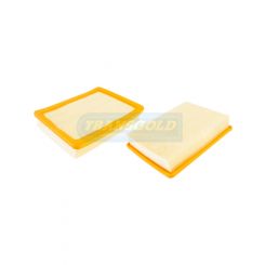 Transgold Air Filter