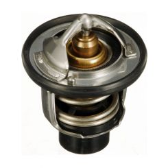 Gates Thermostat