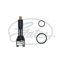 Gates Thermostat