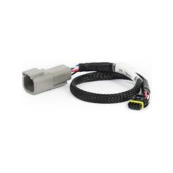 Haltech CAN Adaptor Loom DTM-4 to Molex Mizu-P25 For Holley