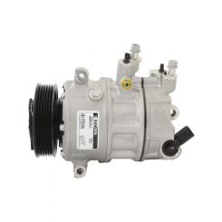 Sanden Compressor