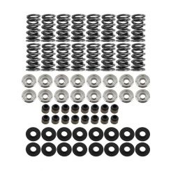 Brian Tooley Racing Platinum Dual Spring LS Kit Steel Retainer