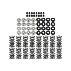 Brian Tooley Racing Platinum Dual Spring LS Kit Titanium