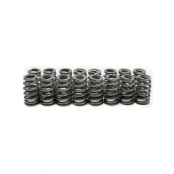 Brian Tooley Racing LS6 Beehive Springs .560 Lift 16